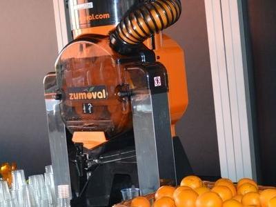 Limba 219